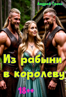 Из рабыни в королеву, Андрей Гросс